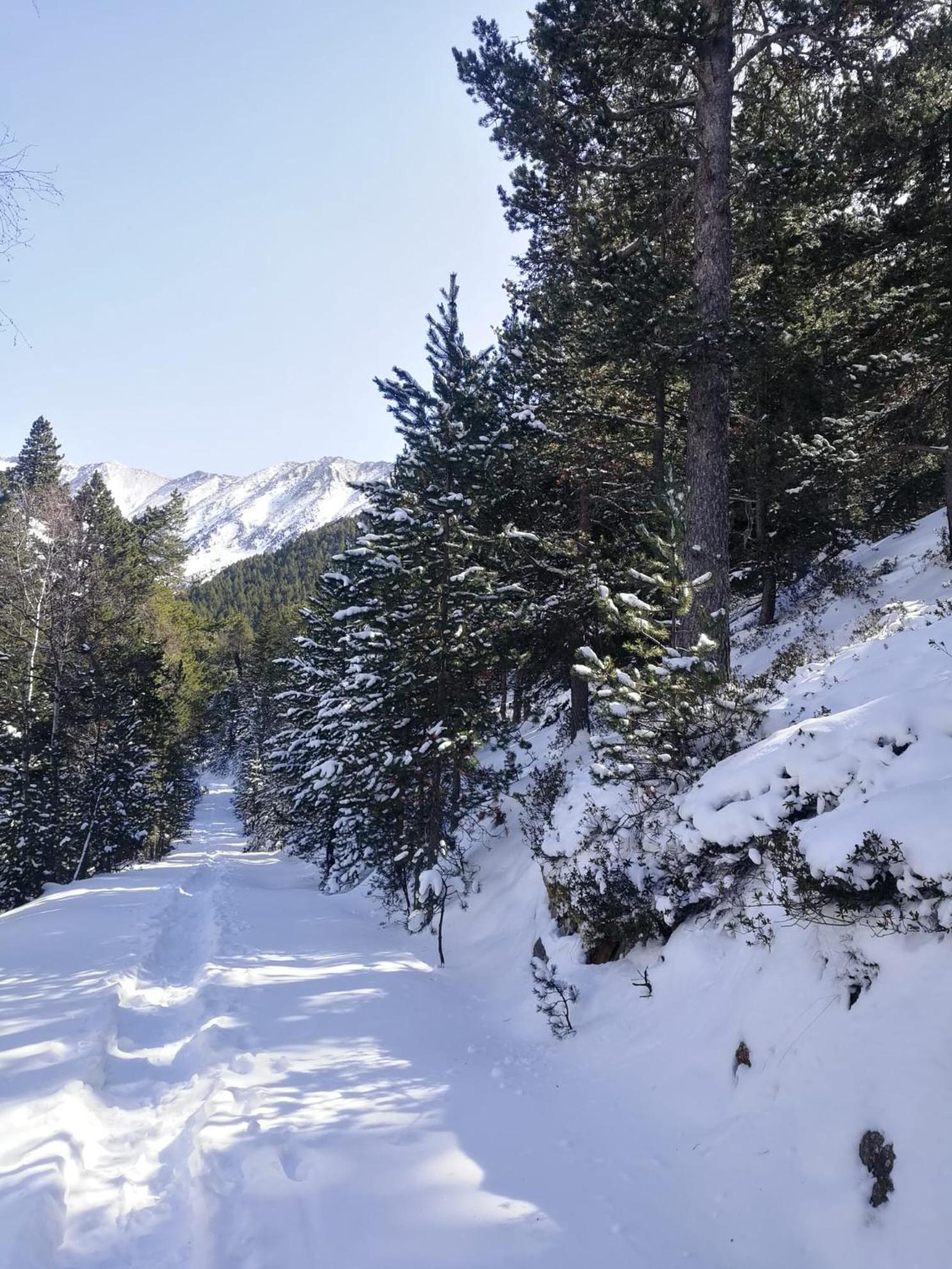 Pyrenees Catalanes Tres Joli Appartement 300M Telecabines Font-Romeu-Odeillo-Via ภายนอก รูปภาพ