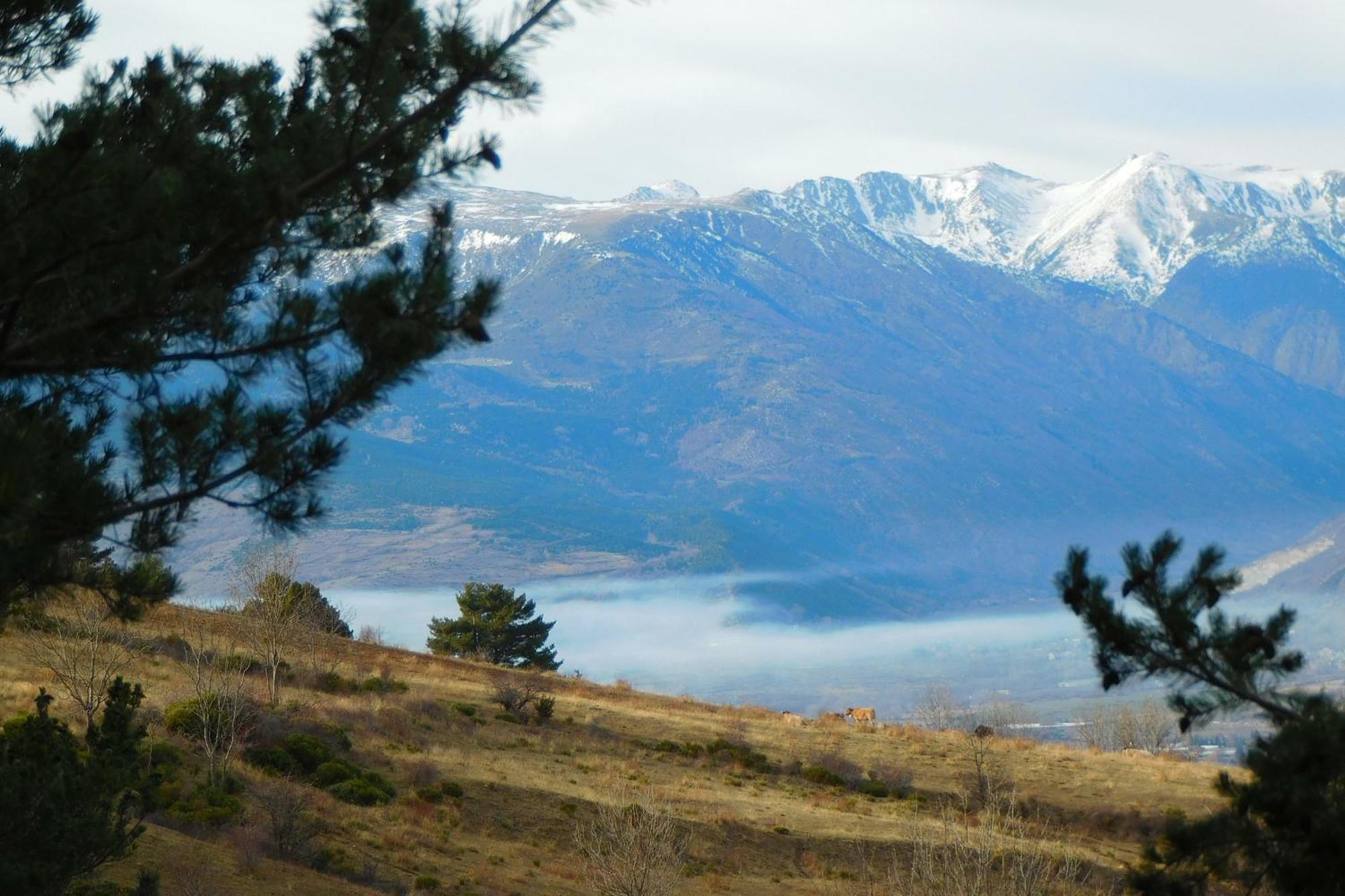 Pyrenees Catalanes Tres Joli Appartement 300M Telecabines Font-Romeu-Odeillo-Via ภายนอก รูปภาพ